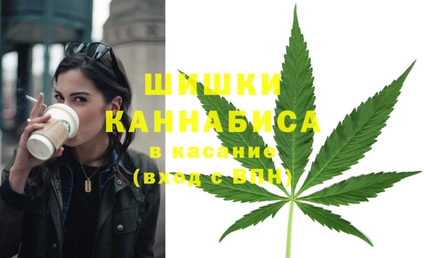 гашик Вяземский