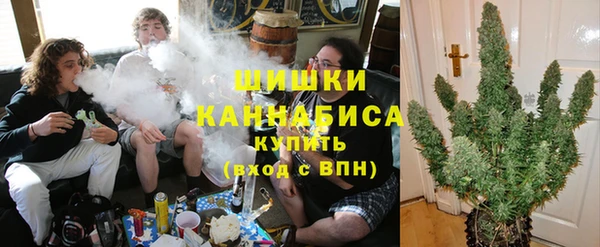 гашик Вяземский