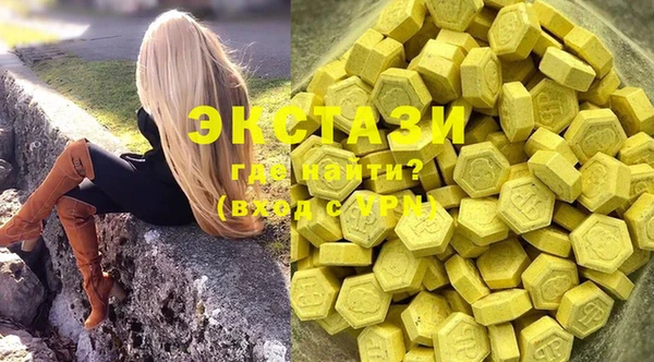 гашик Вяземский