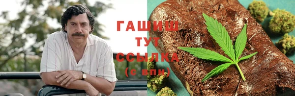 гашик Вяземский